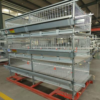 China Anti Rust HDG H Type Layer Broiler Chicken Cage 16-20 Broilers/Cage for sale