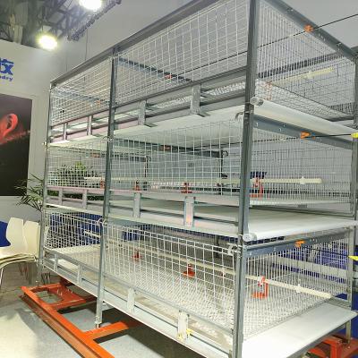 China Galvanized 380V 120/150 Broiler Chicken Cage For Poultry SGS Certificated for sale