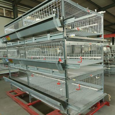 China Auto Farm Battery System In Poultry , HDG 150/200 Chicken Broiler Equipment for sale