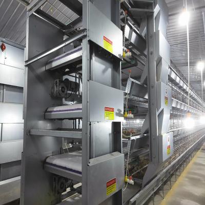 China 45 Days 4 Floors H Frame Broiler Chicken Cage With Automatic Feeder for sale