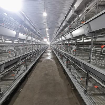 Chine Q235 4 rangées Hen Cage rêveur, système automatique de cage de batterie de 50000 oiseaux à vendre