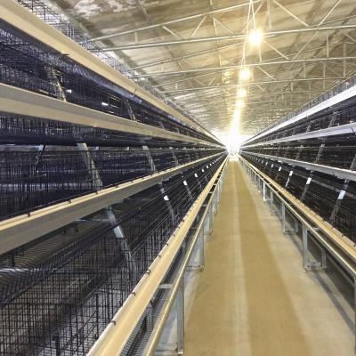 China 3Rows 28sets/Row A Type Wire Poultry Cage Farming Hens Equipments for sale