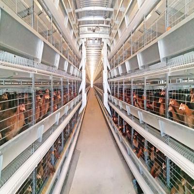 China Ventilational Automatic Layer Cage System , 4 Tier 120 Birds Chicken Battery Cages for sale