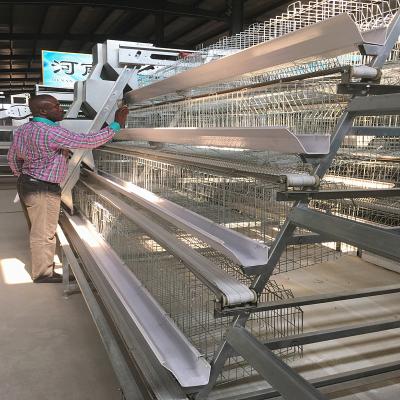 China Galvanized Steel Smart Mini Poultry Cage System 3birds/Door 5doors for sale