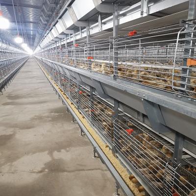 中国 60-144肉焼き器の家禽装置、おりを繁殖させているISO9001ワイヤー鳥 販売のため