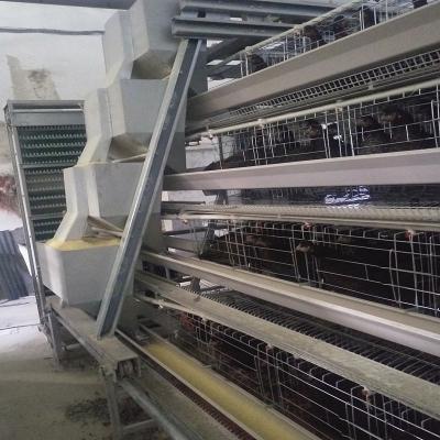 China 3-8 Tiers Hens Farm Automatic Poultry Feeding System And Drinker SONCAP for sale