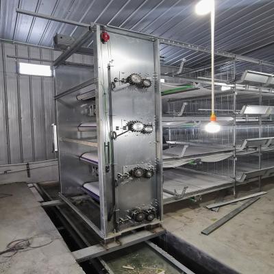 China 0.75kw H Type Automatic Poultry Feeding System For Chicken Layer Cage for sale