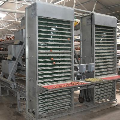 China 4m/Min Poultry Egg Collection System for sale