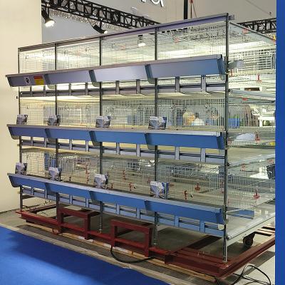 China Equipamento de cultivo das aves domésticas da franga, equipamento automático das aves domésticas da camada de 3/4 séries à venda