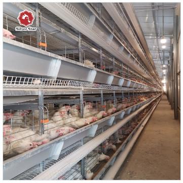 China Casa galvanizada caliente de la granja avícola de la jaula de las aves de corral de la capa de 72 pollos en venta