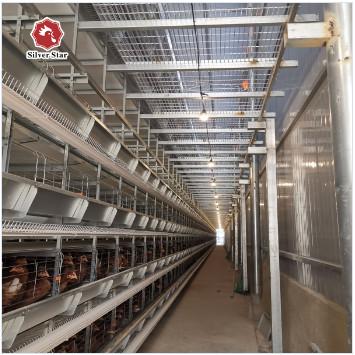 China Sistema automático del retiro del abono de la jaula de las aves de corral del pollo de las gradas de las parrillas 4 en venta