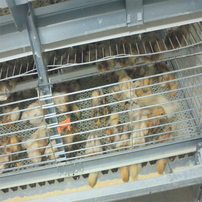 China 260 Birds Hunsbandry 6 Tiers ZnAl Poultry Cage For Broiler for sale