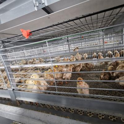 China Floor Saving Meat Broiler Chicken Cage For Chicken Farm for sale