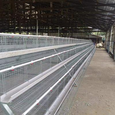 China 3 Tiers Hot Galvanized A Frame Chicken Cage 5000 Birds To 10,000 Birds for sale