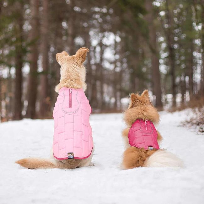 Dog Winter Jacket Perfect for Walking and Running Outdoor Sports Pet Coat Wear with Harness Inside