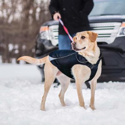China Chaqueta impermeable del perro, capa alineada paño grueso y suave suave del perro para el invierno en venta
