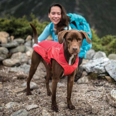 China  				Dog Winter Jacket Fits Dogs of All Sizes with Durable Rip-Stop Material Made for Three Season Coverage While Allowing for Natural Movement 	         for sale