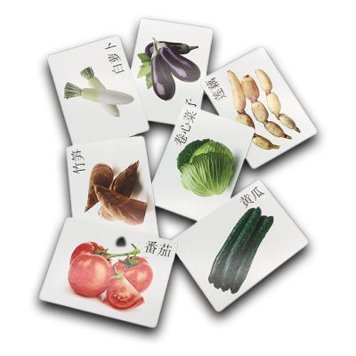 中国 Wholesale Cognitive Cards Customized Paper Sight Words Flash Cards For Kids Educational Learning Card 販売のため