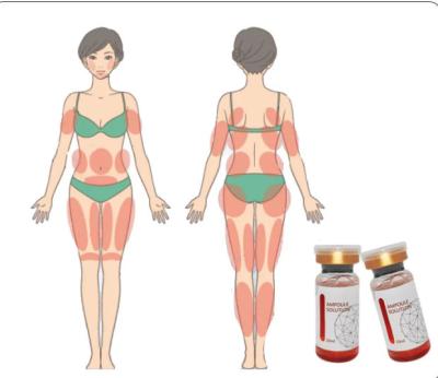 China Dissolve Fat Lipolytic Serum RED Ampoule Lipolysis for sale