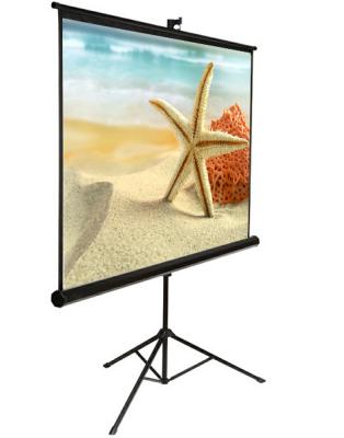 China Floor Standing portable tripod projection screens With Matter White,  Metal Housing for sale