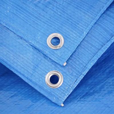 China Heavy Weight PE Tarpaulin Fabric Tarp With Eyelets Blue Dust Resistant Boat Cover for sale