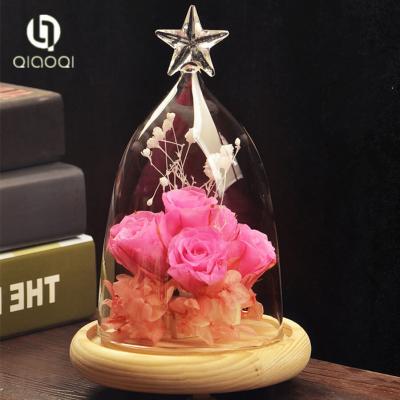 China Handblown Hot Chinese Product hanging decorative glass dome for sale