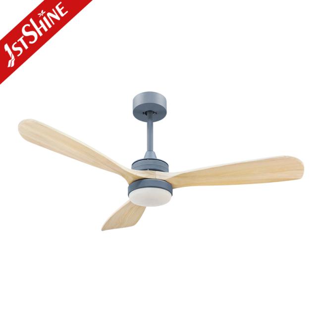 ceiling fan ceiling fan