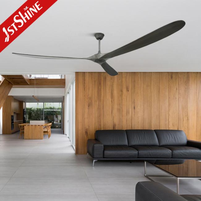 ceiling fan ceiling fan
