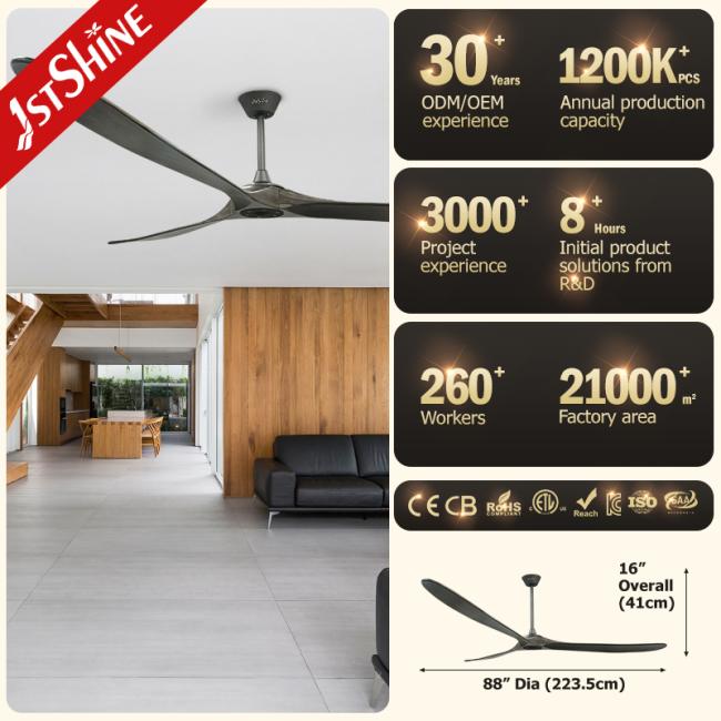 ceiling fan ceiling fan
