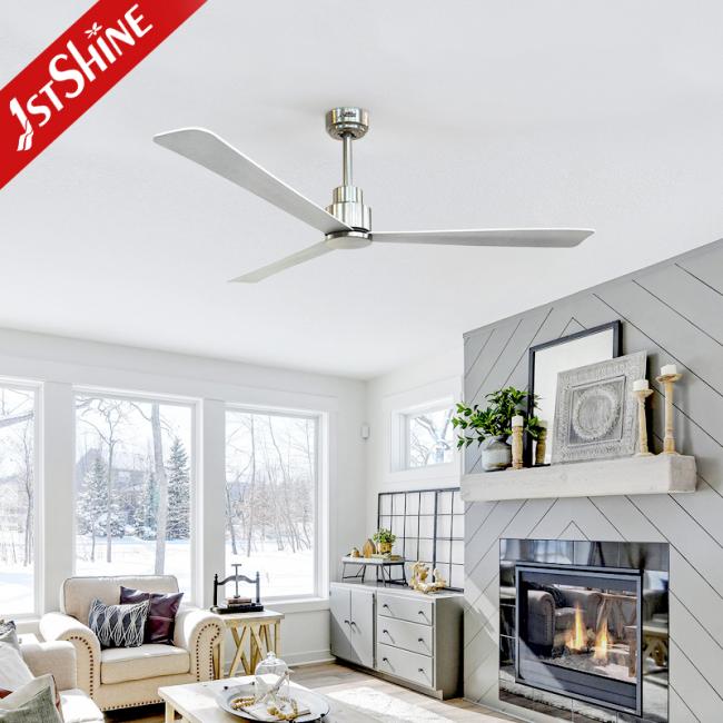 ceiling fan ceiling fan