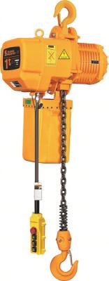 China Trolley / Hook Type Electric Chain Hoist , Motorized Chain Hoist 0.5T - 10T for sale