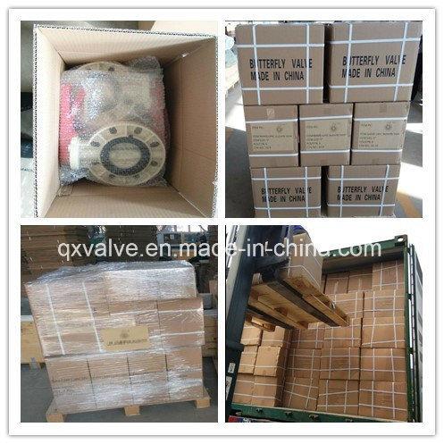 Wafer Manual Seat Ring Pn10 Butterfly Valve Used on Water Supply Pipes