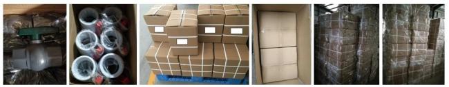 Plastic PVC Compact Ball Valve with Butterfly Handle (Socket/Thread)