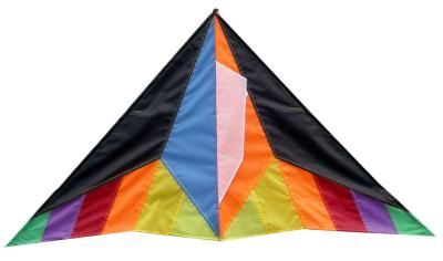 China Customized Color Nylon Kites , Kids Playing Kite 264*132cm 2-5bft Swing Range for sale
