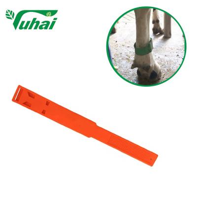 China PP Livestock Bands 36cmx4.2cm Colorful Leg Bands For Cow Or Cattle for sale