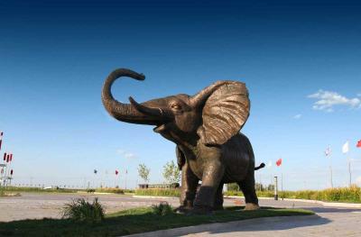 Китай Гигантское на открытом воздухе медное животное ремесленничество украшения сада слона скульптуры продается