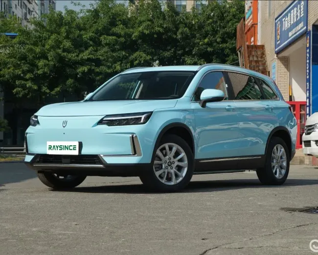 Hot Sell China Manufacture SUV Electric Adult Raysince China SUV Electric Cars
