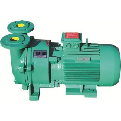 China ISO9001 Industrial Liquid Ring Vacuum Pumps Manufacturers Single Stage for sale