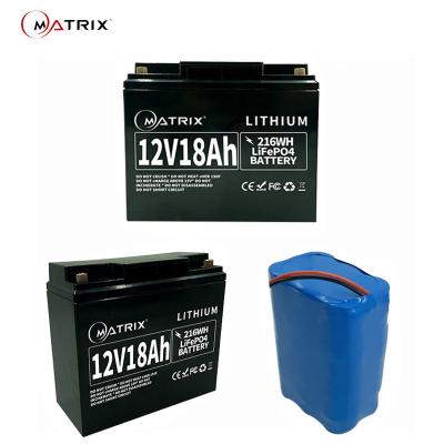 China Rechargeable Lithium Iron Phosphate Battery 4s3p Deep Cycle Maintenance Free for sale