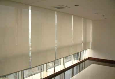 China Double roller blinds window blinds fabricin door blinds fabric white coating roller fabric Europe style two layer blind for sale