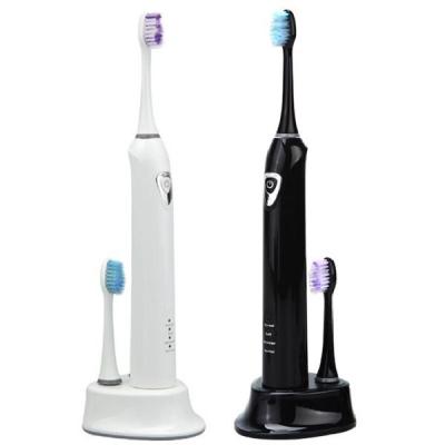 China rechargable auto-timer toothbrush BLYL Brand Sonic Electric toothbrush TB-1201  Energy-saving for sale