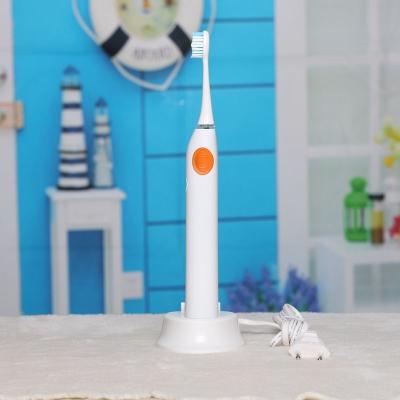 China BLYL 48000/Min Ultrasonic Waterproof Rechargeable Electric Toothbrush with 4 Heads Oral Hygiene Dental Care for Adults for sale