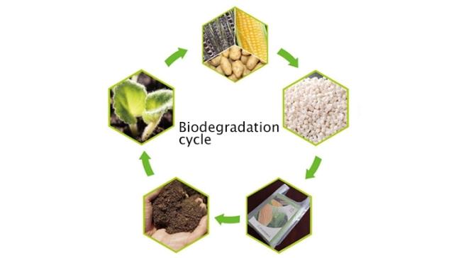 cornstarch 100% biodegradable compostable plastic PLA PBAT reclosable k zipper packaging bags