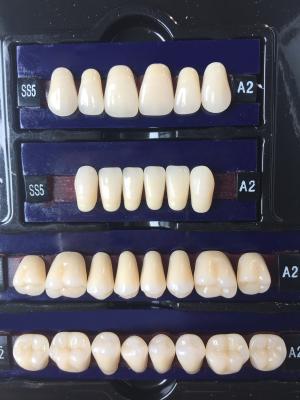 China Dental Synthetic Resin Teeth Materials Multi Layers Composite False Teeth HSS3 HC3 M32 for sale