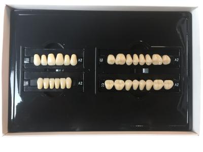 China Los dientes dentales A1 A3 2 de la resina de acrílico del polímero plástico acodan la resina compuesta dental en venta