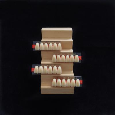 China Incisor (2×1)×16 Dental Acrylic Resin Composite Denture VITA System False Teeth for sale