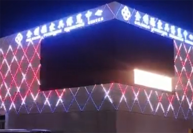 Technical diagram of P143 LED Mesh Display