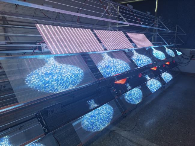 LED film display in commercial application