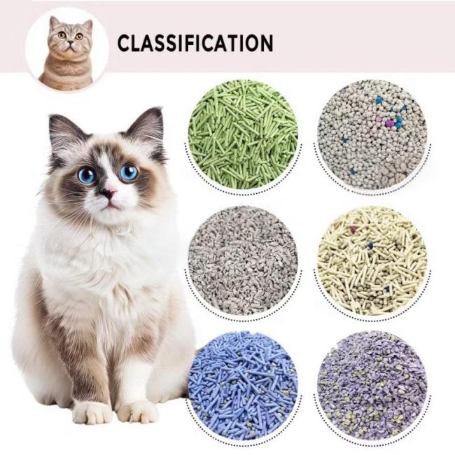Product display of green tea cat litter with packaging