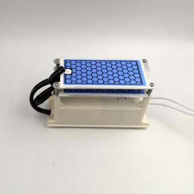 China Kit de gerador de ozônio cerâmico de 110 V 10 g/h para uso comercial / doméstico à venda